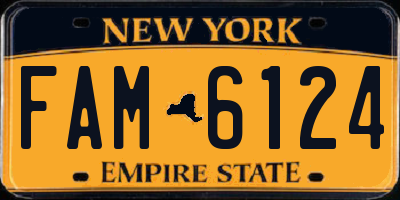 NY license plate FAM6124