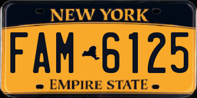 NY license plate FAM6125