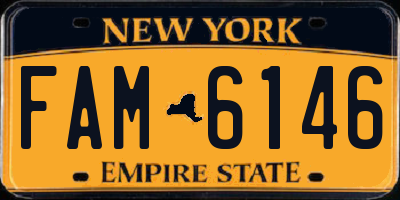NY license plate FAM6146