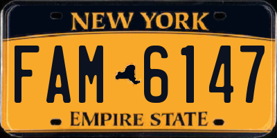 NY license plate FAM6147