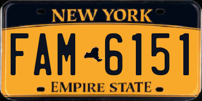 NY license plate FAM6151