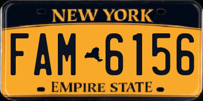 NY license plate FAM6156