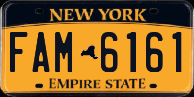 NY license plate FAM6161