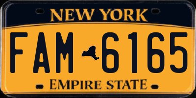 NY license plate FAM6165
