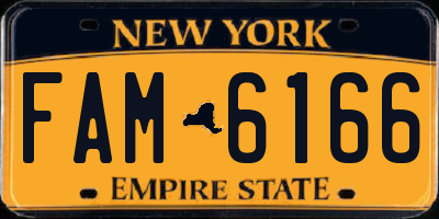 NY license plate FAM6166