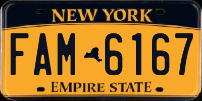 NY license plate FAM6167