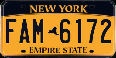 NY license plate FAM6172