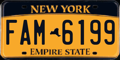 NY license plate FAM6199