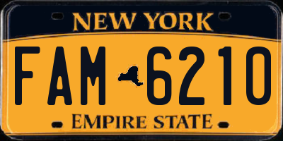 NY license plate FAM6210