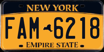 NY license plate FAM6218