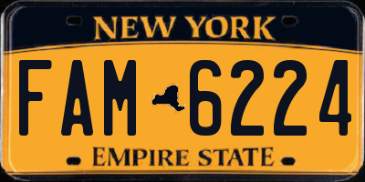 NY license plate FAM6224