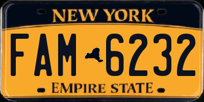 NY license plate FAM6232