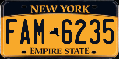 NY license plate FAM6235