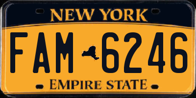 NY license plate FAM6246