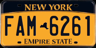 NY license plate FAM6261