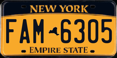 NY license plate FAM6305