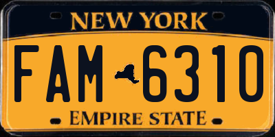 NY license plate FAM6310