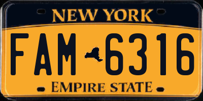 NY license plate FAM6316