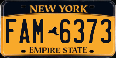 NY license plate FAM6373