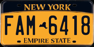 NY license plate FAM6418