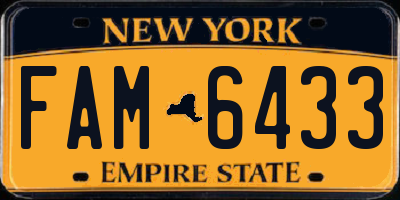 NY license plate FAM6433