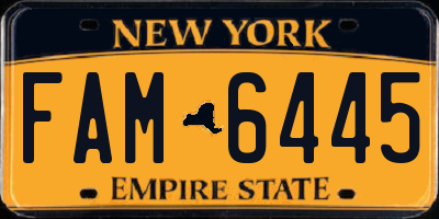 NY license plate FAM6445
