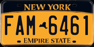NY license plate FAM6461