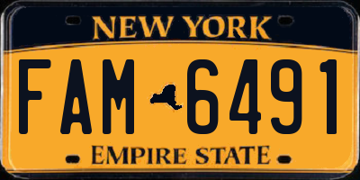 NY license plate FAM6491