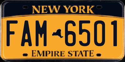 NY license plate FAM6501