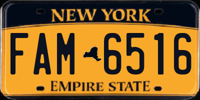 NY license plate FAM6516