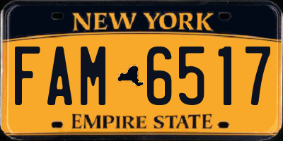 NY license plate FAM6517