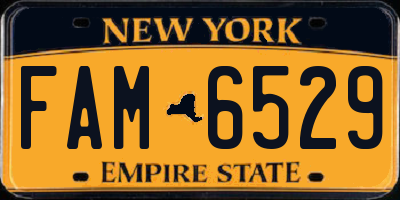NY license plate FAM6529