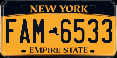 NY license plate FAM6533