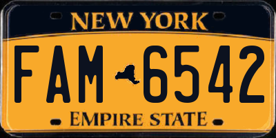 NY license plate FAM6542