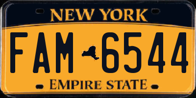 NY license plate FAM6544