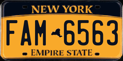 NY license plate FAM6563
