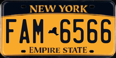 NY license plate FAM6566