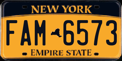 NY license plate FAM6573