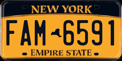 NY license plate FAM6591