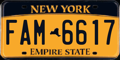 NY license plate FAM6617