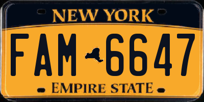 NY license plate FAM6647