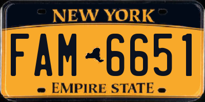 NY license plate FAM6651