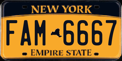 NY license plate FAM6667