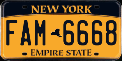 NY license plate FAM6668
