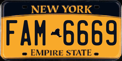 NY license plate FAM6669