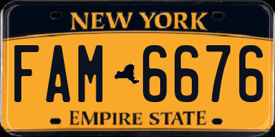 NY license plate FAM6676