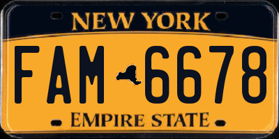 NY license plate FAM6678