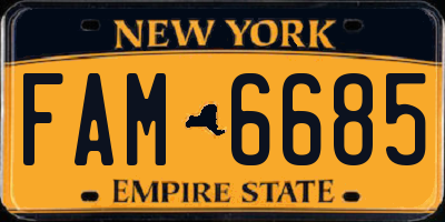 NY license plate FAM6685