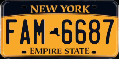 NY license plate FAM6687