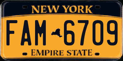 NY license plate FAM6709